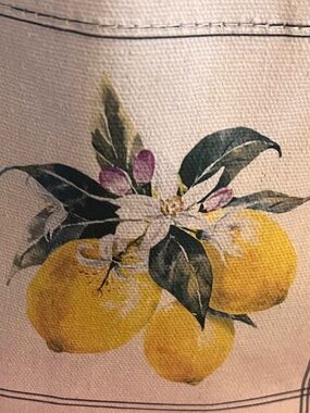 Lemon Trio Mystery Bag